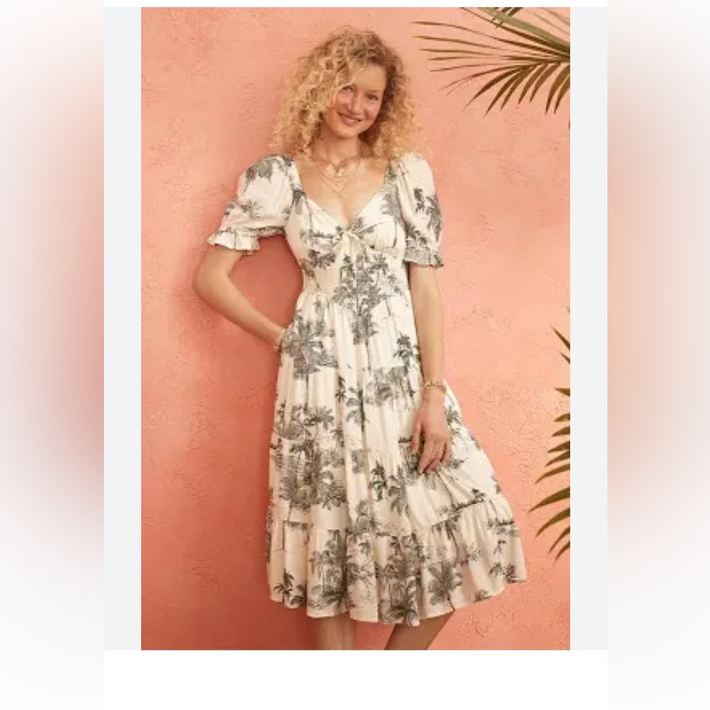 Parker Toile Midi Dress, Size large